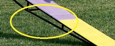 Dogwalk ramp.jpg
